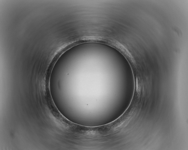 X0000111190204200907081303