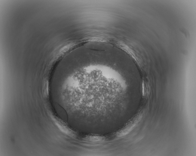 X0000111190205200907081303