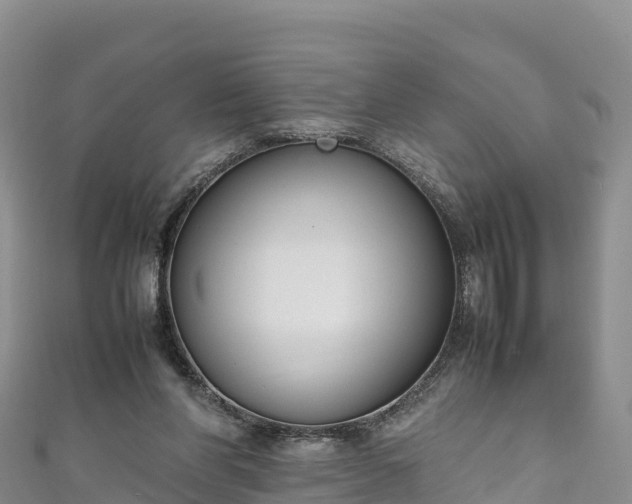 X0000111190206200907081303