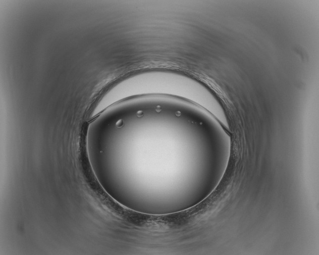 X0000111190207200907081303