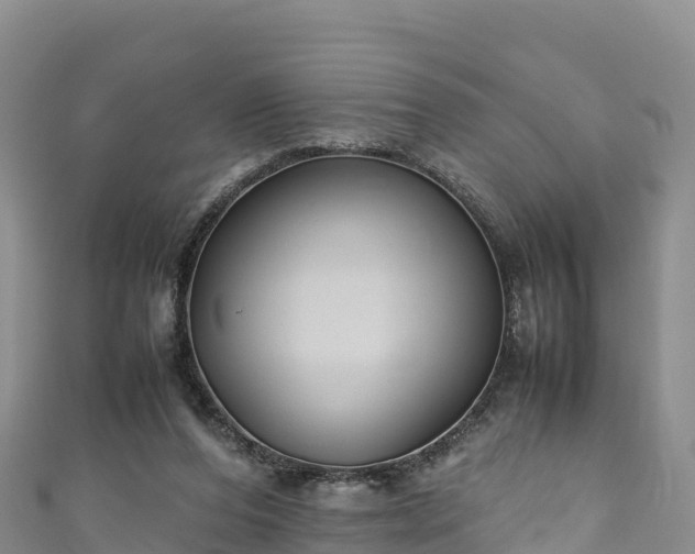 X0000111190208200907081303