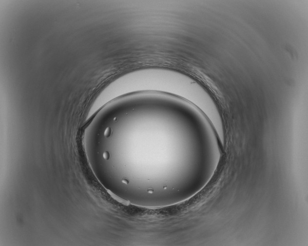 X0000111190209200907081303