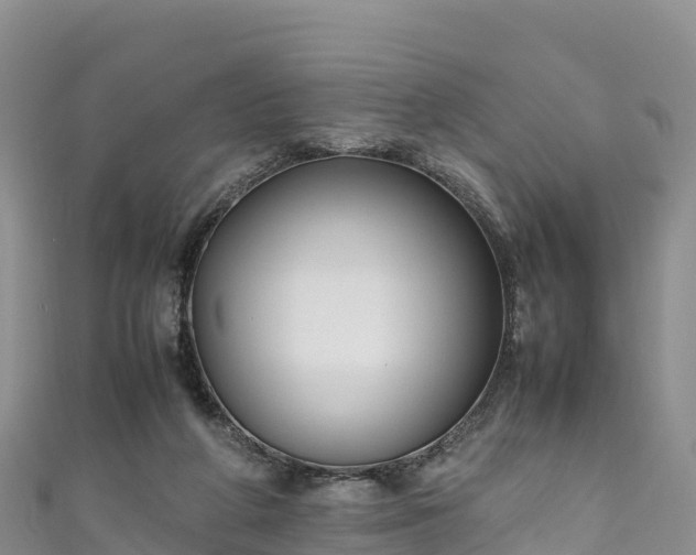 X0000111190210200907081303