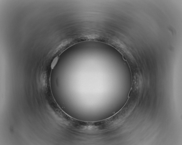 X0000111190212200907081303