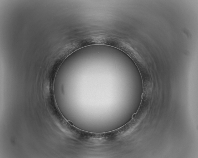 X0000111190213200907081303