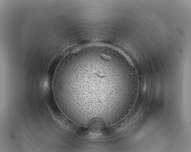 X0000111190214200907081303