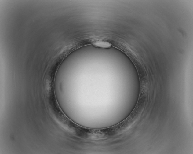 X0000111190215200907081303