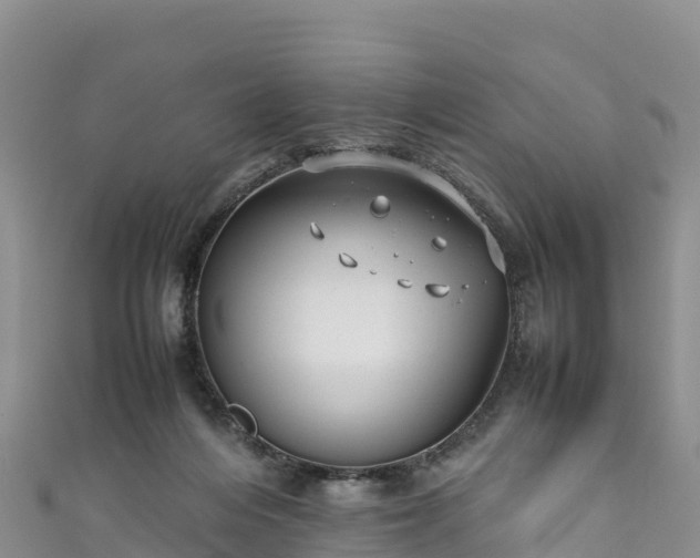 X0000111190216200907081303