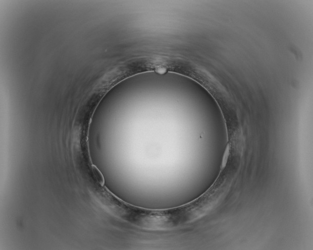 X0000111190217200907081303