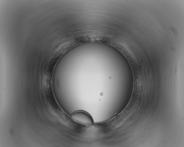 X0000111190218200907081303