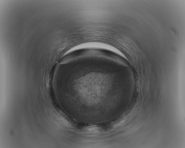 X0000111190219200907081303