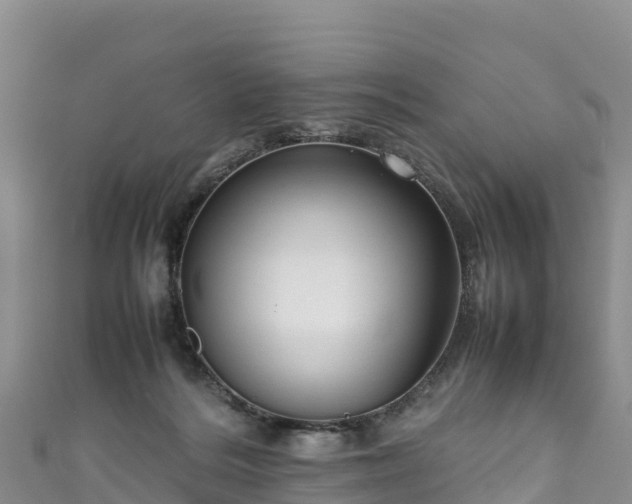 X0000111190220200907081303