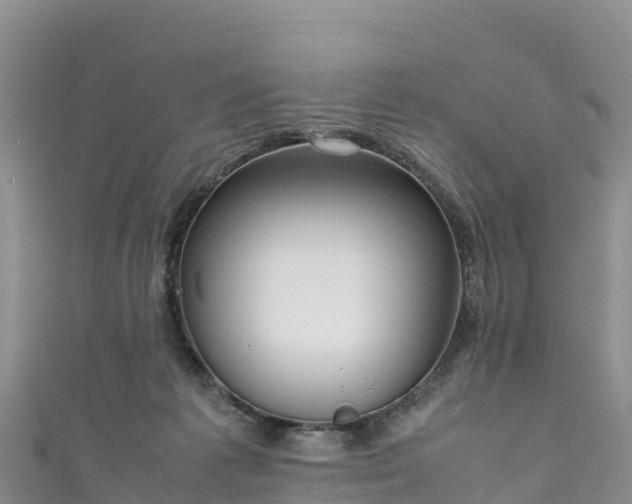 X0000111190221200907081303