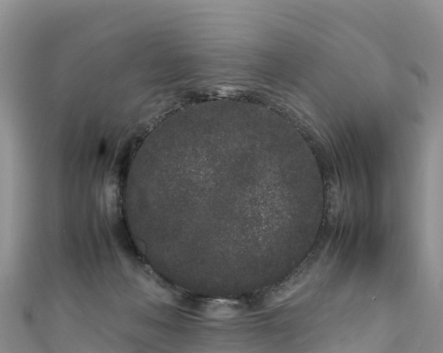 X0000111190222200907081302