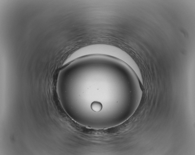 X0000111190223200907081302