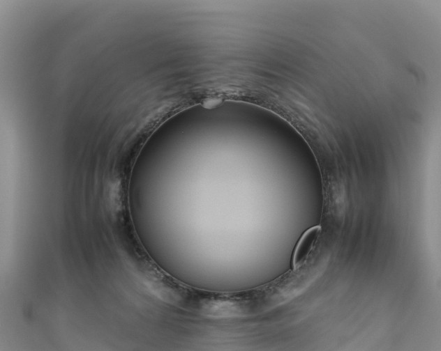 X0000111190224200907081302