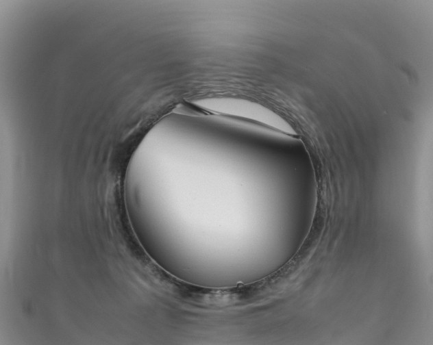 X0000111190225200907081302