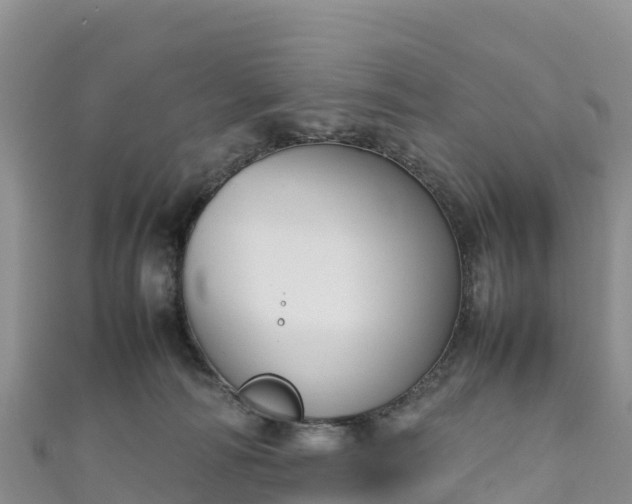 X0000111190226200907081302