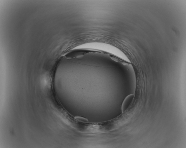 X0000111190227200907081302