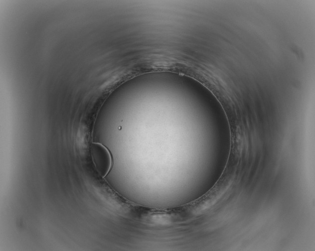 X0000111190228200907081302