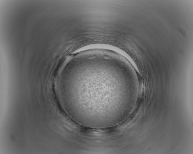 X0000111190229200907081302