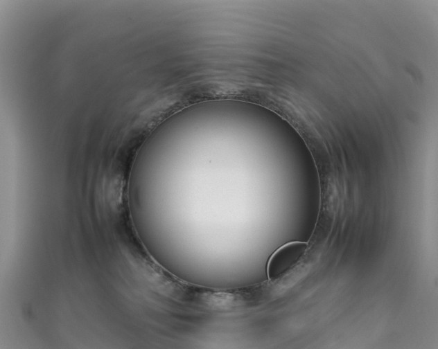 X0000111190230200907081302