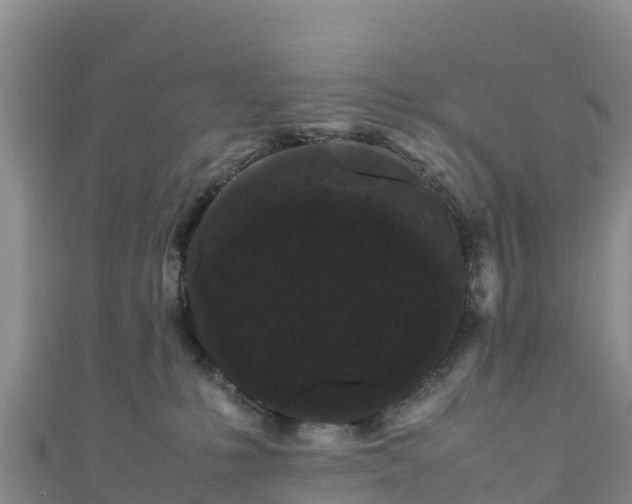 X0000111190231200907081302