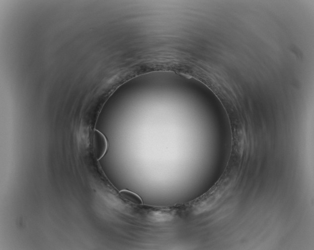 X0000111190232200907081302