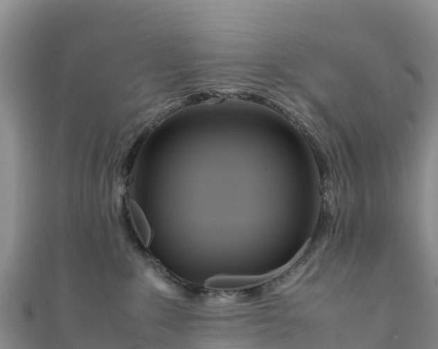 X0000111190235200907081302