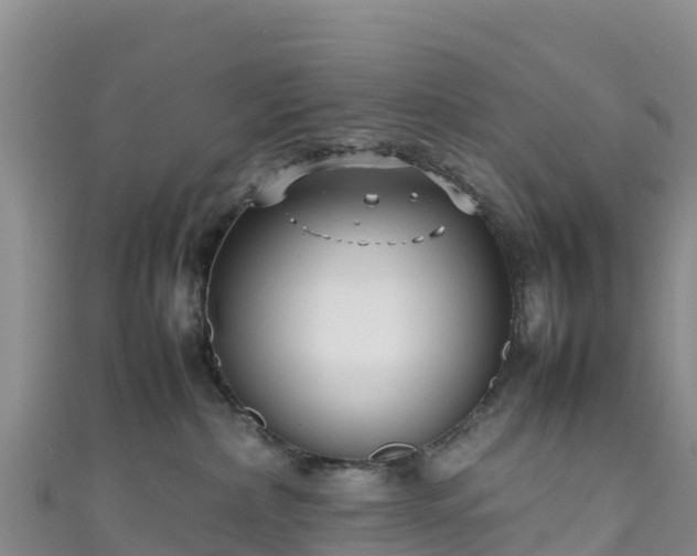 X0000111190236200907081302