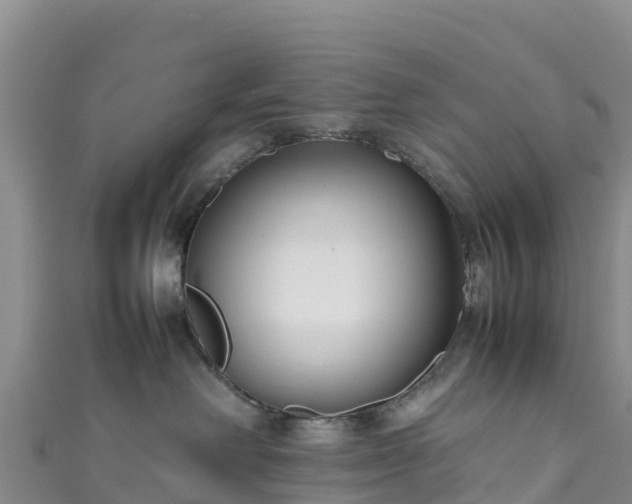 X0000111190238200907081302