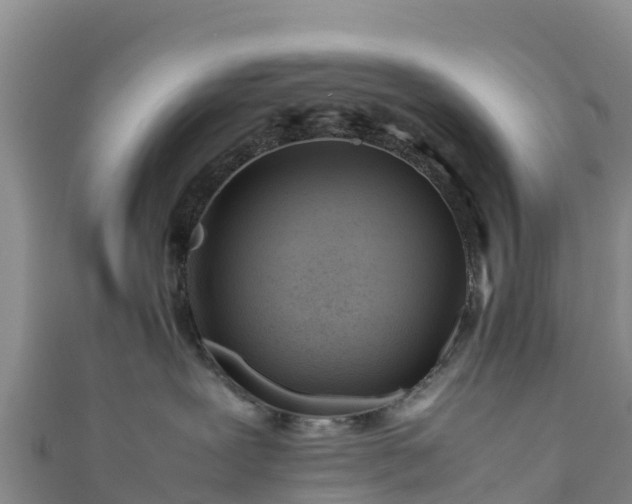 X0000111190239200907081302