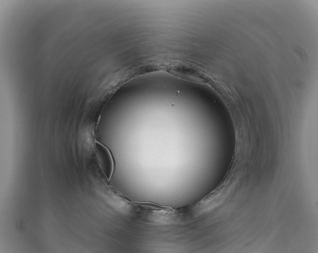 X0000111190240200907081302