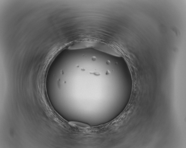 X0000111190241200907081302