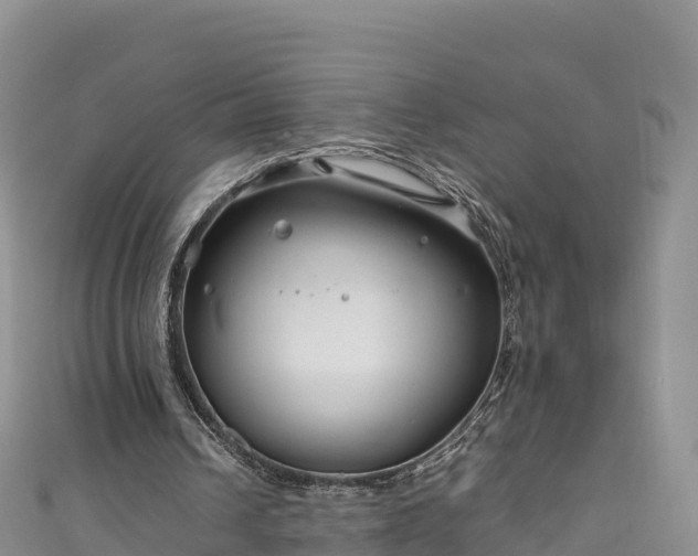 X0000111190242200907081302