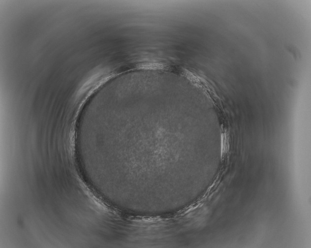 X0000111190243200907081302