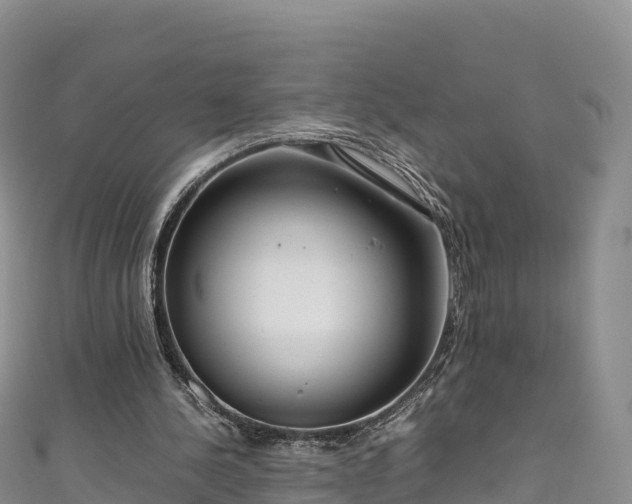 X0000111190244200907081302