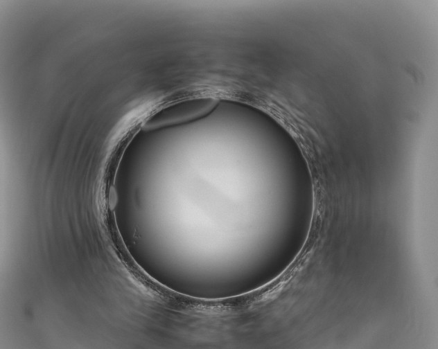 X0000111190245200907081302