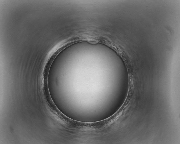 X0000111190246200907081302