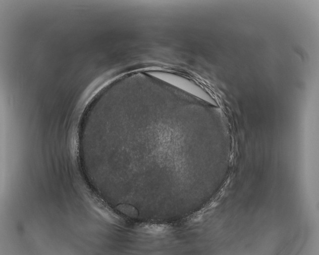 X0000111190247200907081302