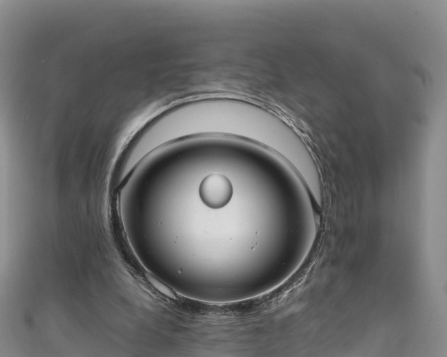 X0000111190248200907081302