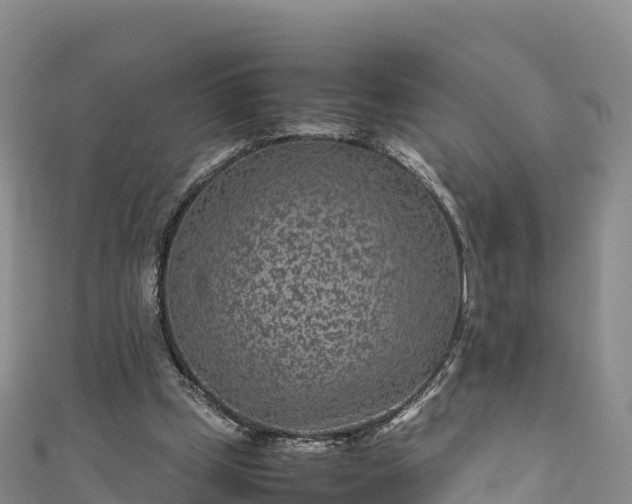 X0000111190249200907081302