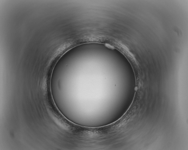 X0000111190250200907081302