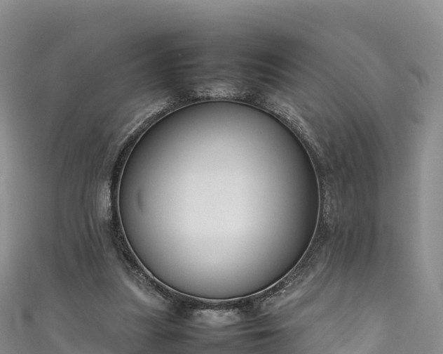 X0000111190251200907081302