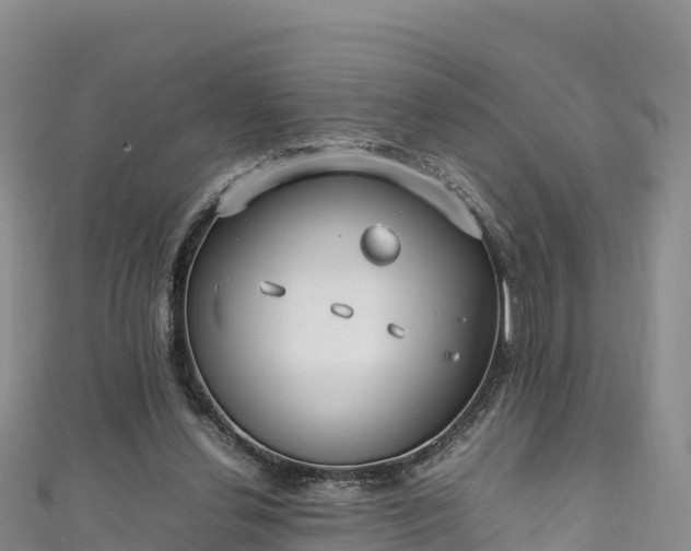 X0000111190252200907081302