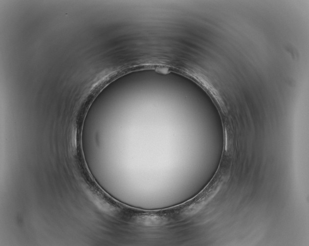 X0000111190253200907081302