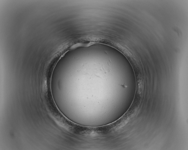 X0000111190254200907081302