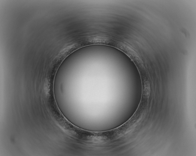 X0000111190255200907081302