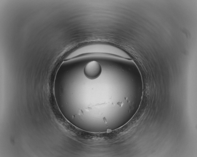 X0000111190256200907081302