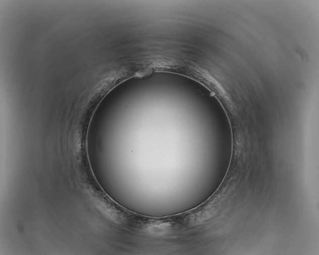 X0000111190257200907081302